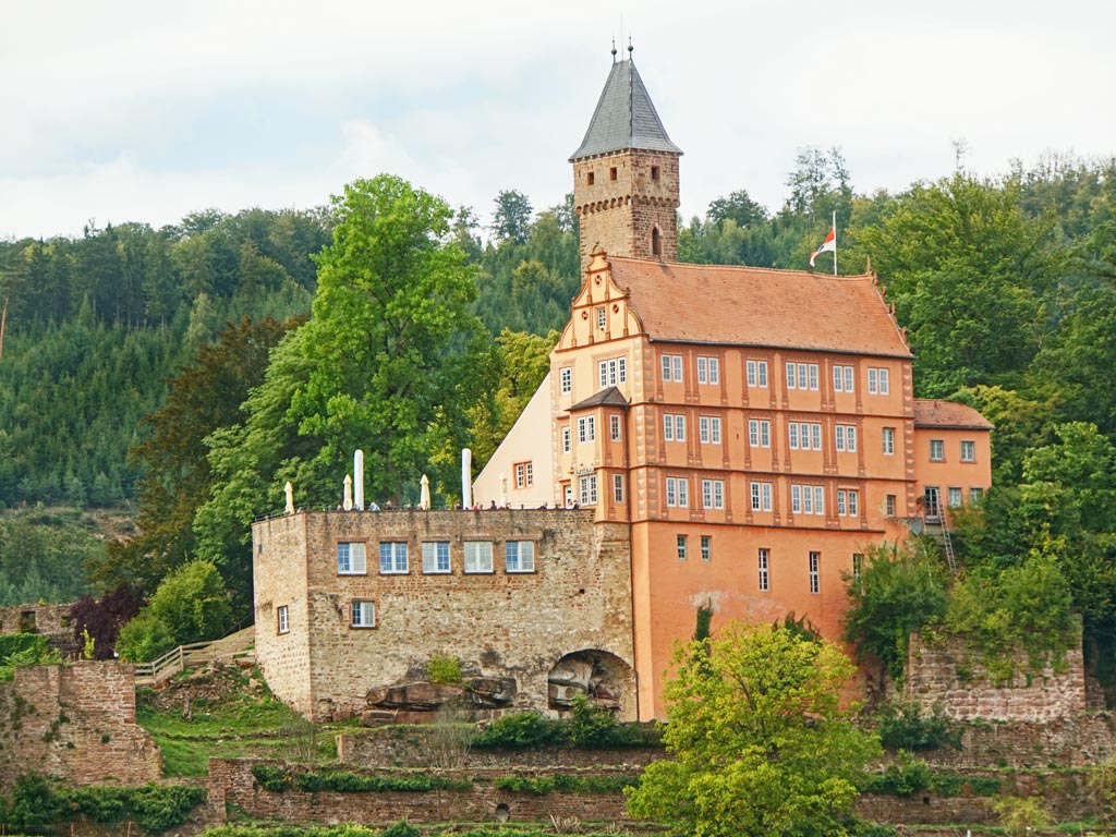 Burg-Hirschhorn