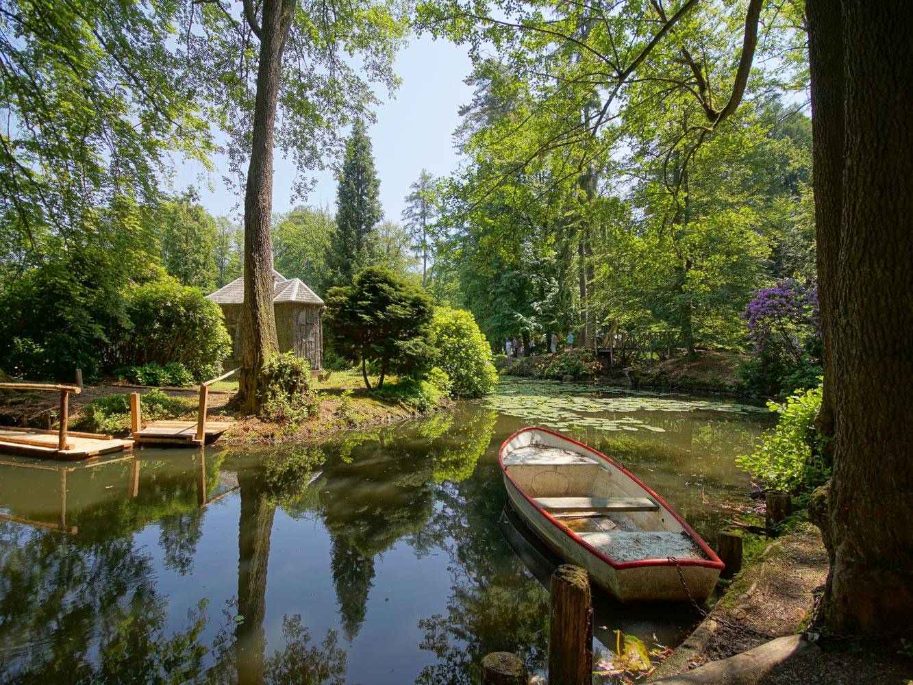 Englischer-Garten-Seerosenteich-mit-Boot