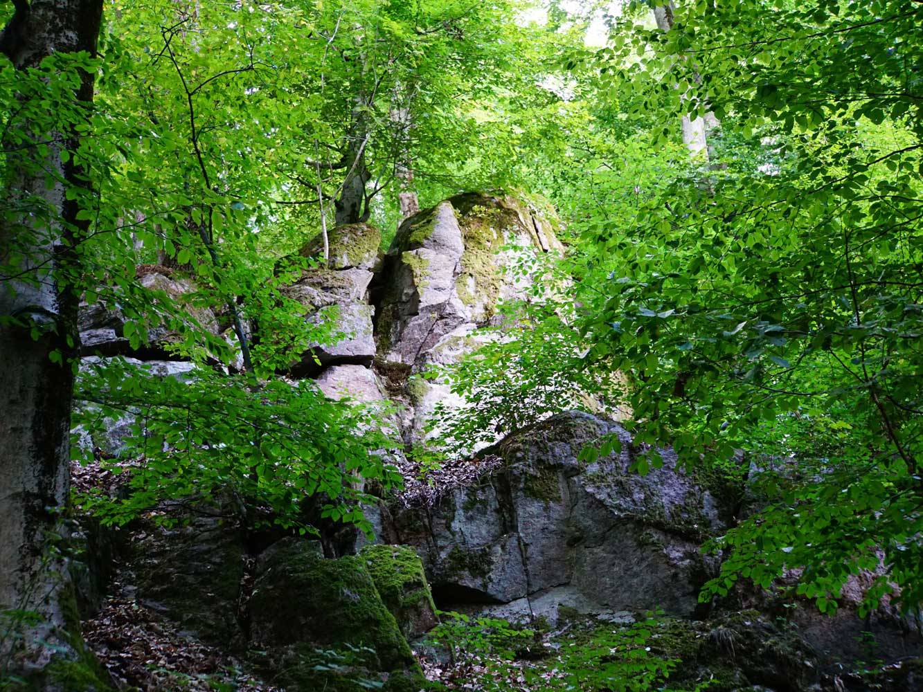 Felsgestein-Odenwald-Geopfad